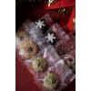 MCC 0001 Christmas Cookies Gift Box